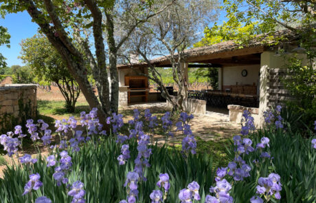 Espaces communs – Cuisine d’été Mas de la Deivière | Gîtes avec Piscine Gard