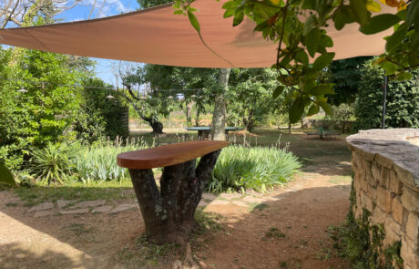 Espaces communs – Espaces extérieurs Mas de la Deivière | Gîte de groupe avec Piscine Gard
